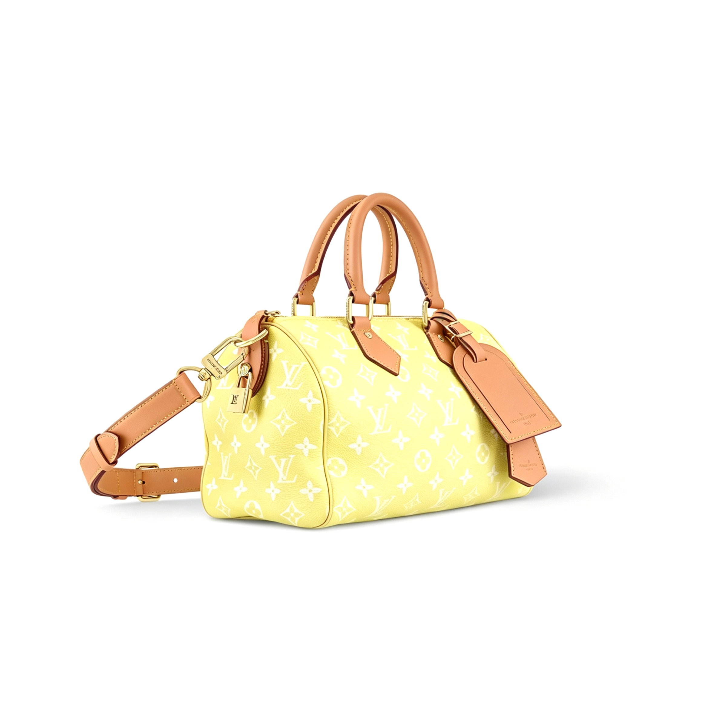l0vis Vvtt0n master speedy p9 bandouliÈre 30 m13914 (30*21*17cm)